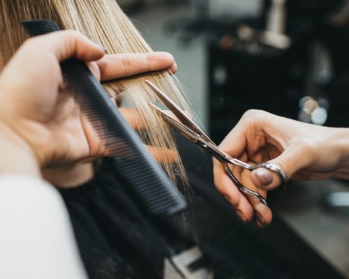 shutterstock_532148356 (1) (1)